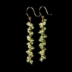 Long Spiral Beaded Earrings
